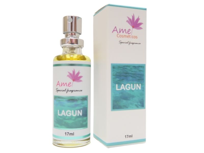 Perfume Amei Cosméticos Lagun 17ml feminino