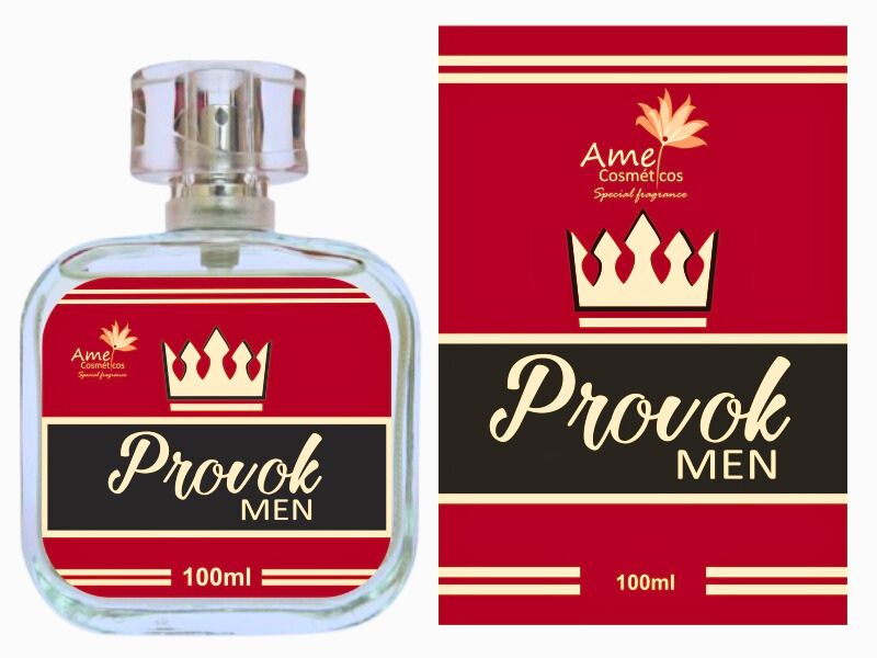 Perfume Amei Cosmticos Provok Men 100ml